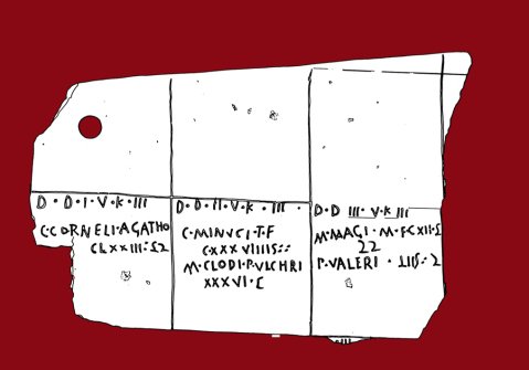 La grafica del catasto A con la posizione dei terreni e dei proprietari all'interno delle celle della centuriazione