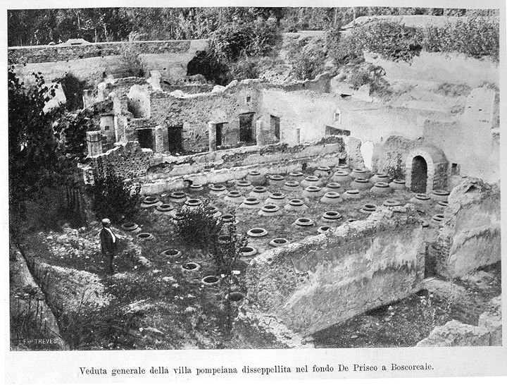 L'immagine può contenere: spazio all'aperto, il seguente testo "சaபட SLI Veduta generale della villa pompeiana disseppellita nel fondo De Prisco a Boscoreale."