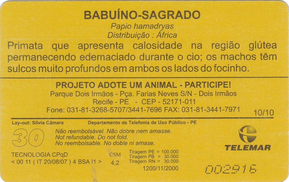 Babu%C3%ADno-Sagrado---1200---10-10---N-42-back.jpg