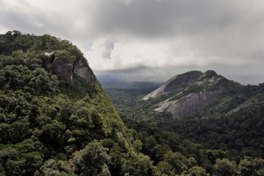 Aerial-view-of-the-Massif-of-Mitaraka.pn