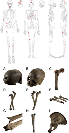 Fig. 5.