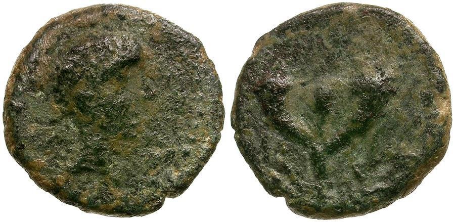 Ancient Coins - Augustus. Judaea. Ascalon &#198;12 / Crossed Cornucopiae