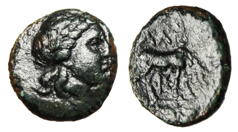 Ancient Coins - Troas, Alexandria AE12 "Apollo & Horse, Phi Below" 3rd-2nd Century BC