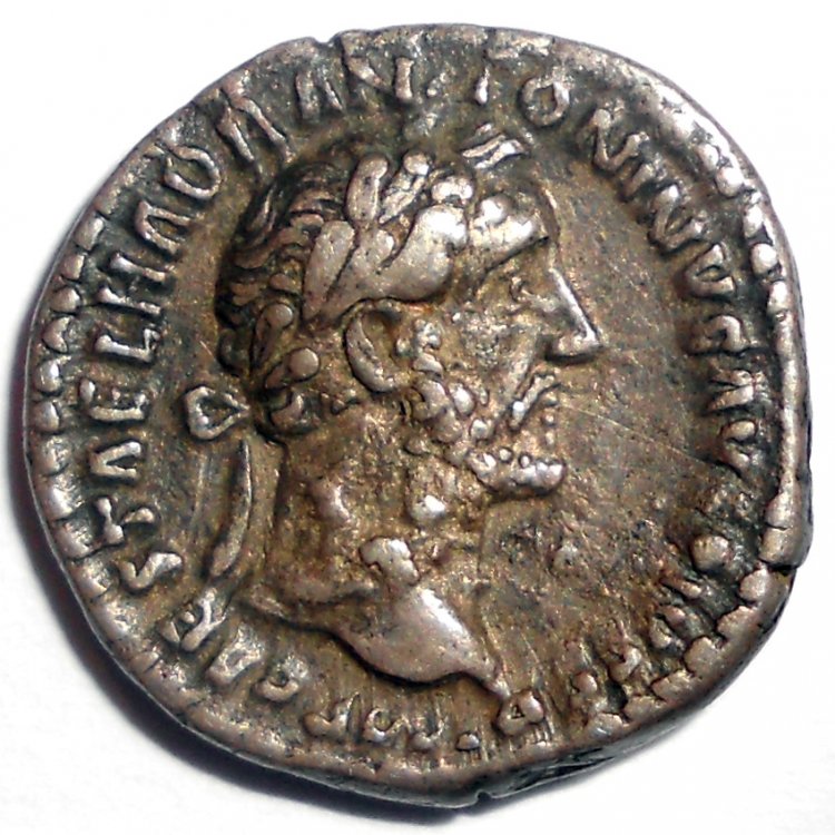 Antoninus 210 - D.jpg