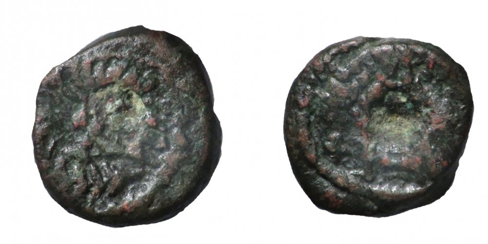 salus 0,80 g.jpg