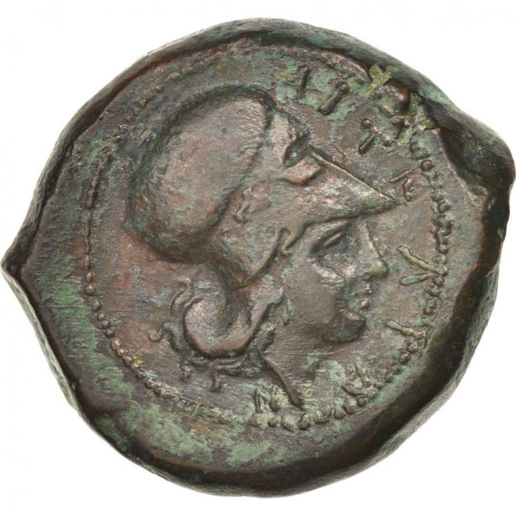 coin1a.jpg