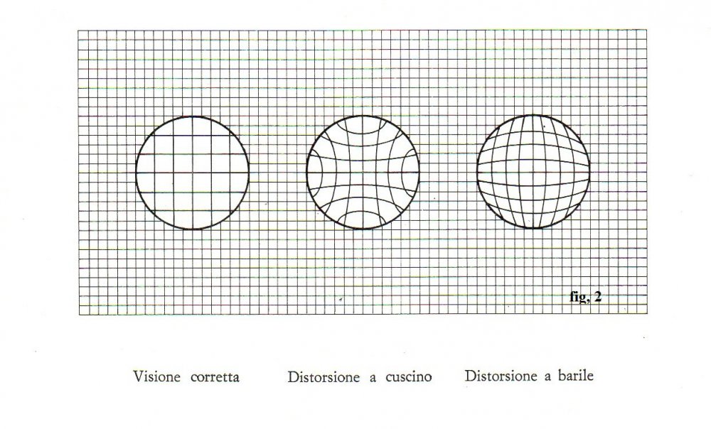 256210758_Fig2.thumb.jpg.c81322ce927756858d5a156bc9cc5bf8.jpg