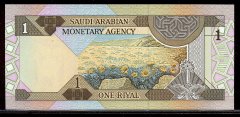 Arabia Saudita - 1 Ryal (Particolare).jpg