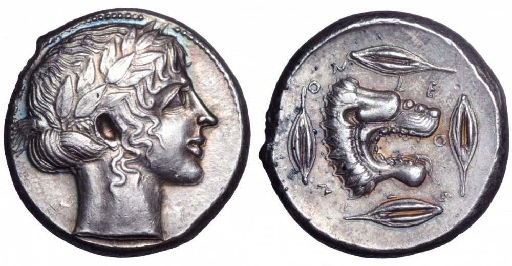 003 RomaNum. 5 n. 81.jpg