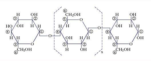 1923523845_FormulacellulosaTreccani.JPG.a5e5ee6e278012bbe5a1b4b3e0148a3e.JPG