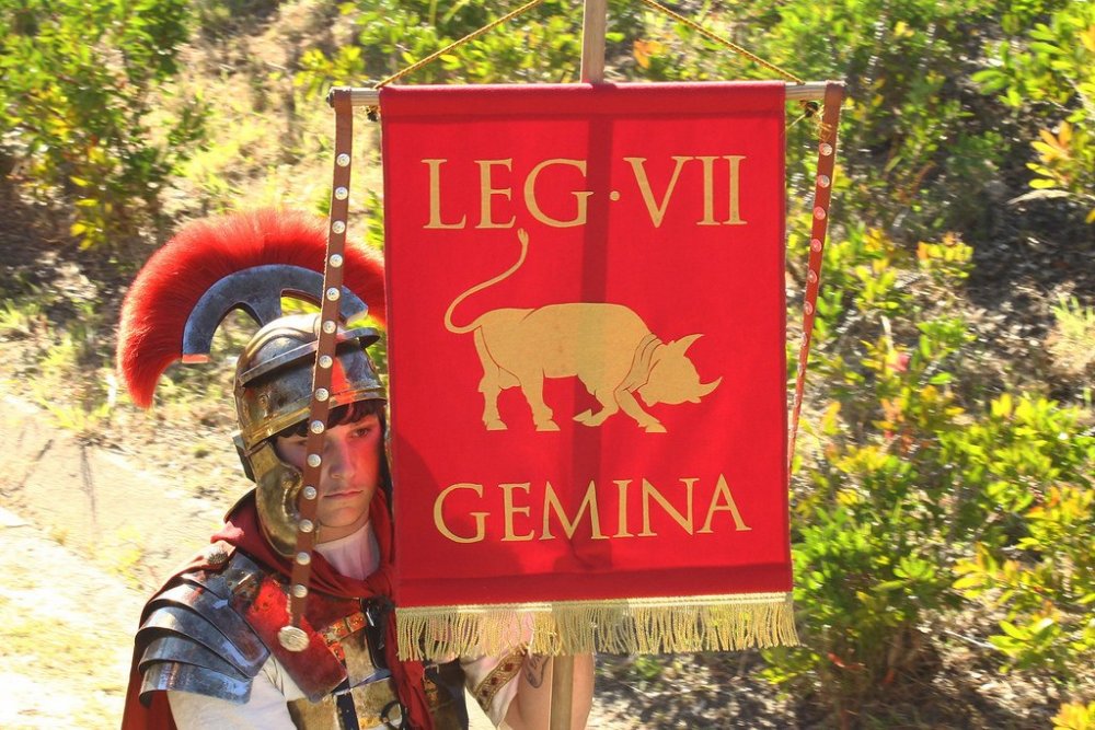 Legio VII Gemina , emblema.jpg