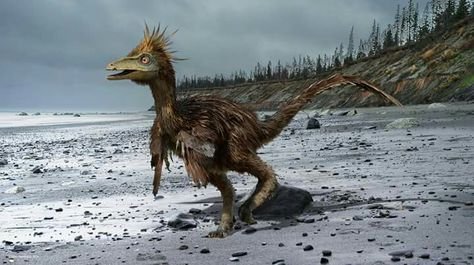 719d67db8def7e344638276e1b0b06af--prehistoric-animals-dinosaurs.jpg.6b34d2df24b742989e5b6254fa3c7512.jpg