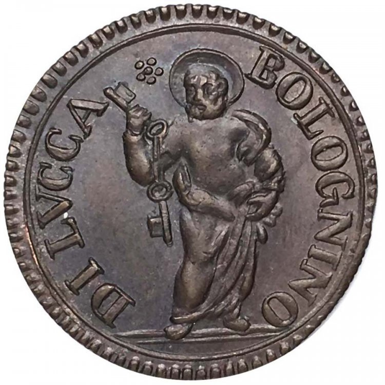 bolognino lucca (1).jpg