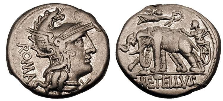 caecilia14.jpg.84bc051de32c07014a2f5143b5b45a5b.jpg