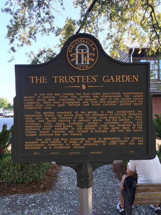 trustees garden.jpg