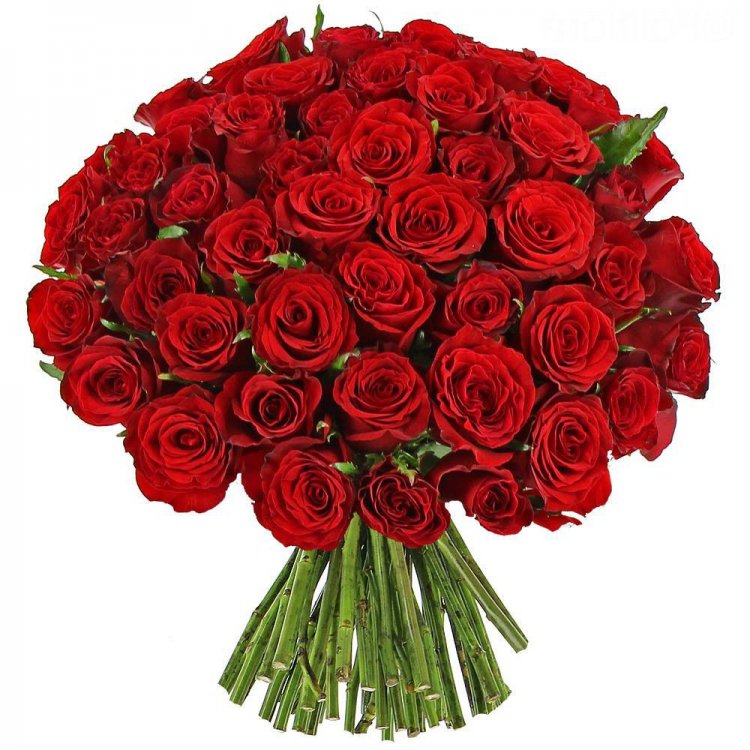 Bouquet-50-rose-rosse.jpg