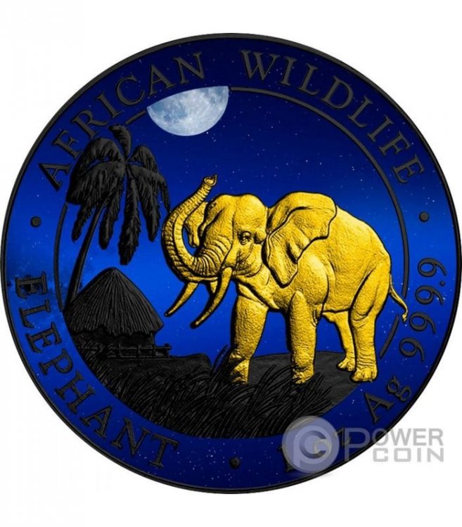 elephant-night-elefante-notte-rutenio-african-wildlife-1-oz-moneta-argento-100-shillings-somalia-2017.jpg