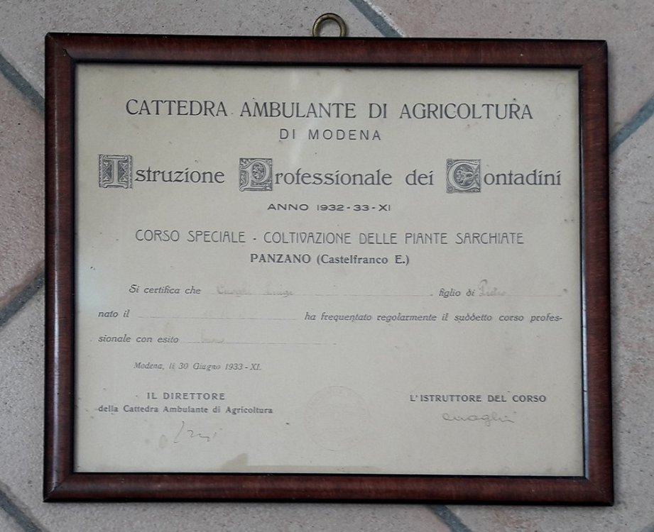 MODENA DIPLOMA AGRICOLTURA.jpg