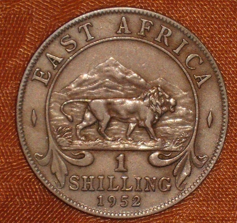 shilling 1952 r.jpg