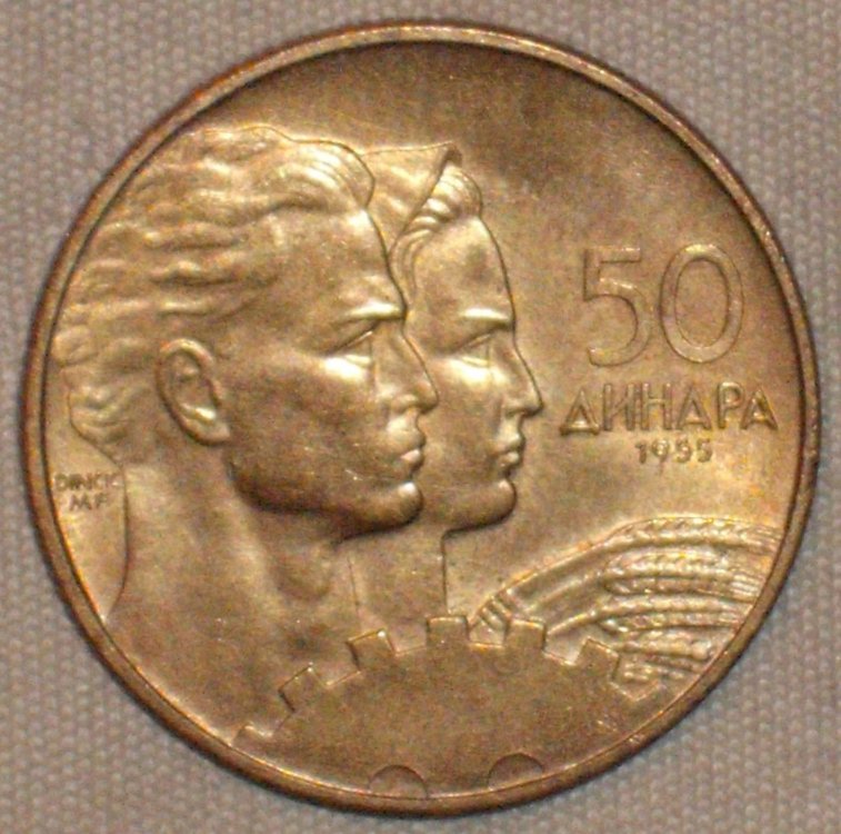 50 dinara 1955 r.JPG