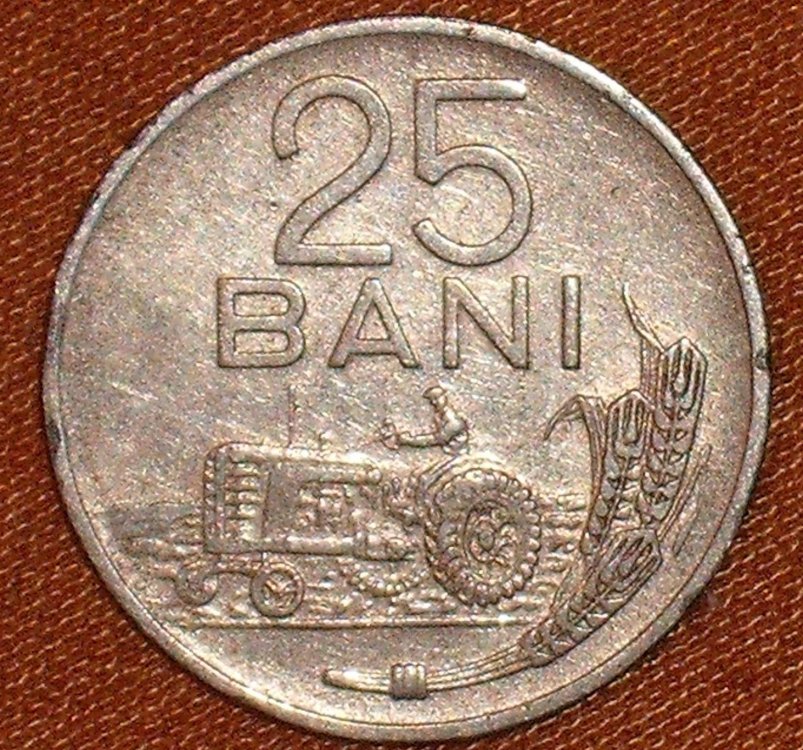 25 bani 1960 r.jpg