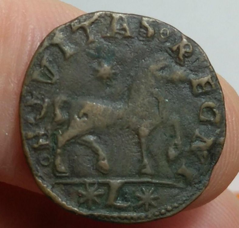 FEDERICO III d'Aragona - Cavallo M.I.R. 110.9 R..jpg