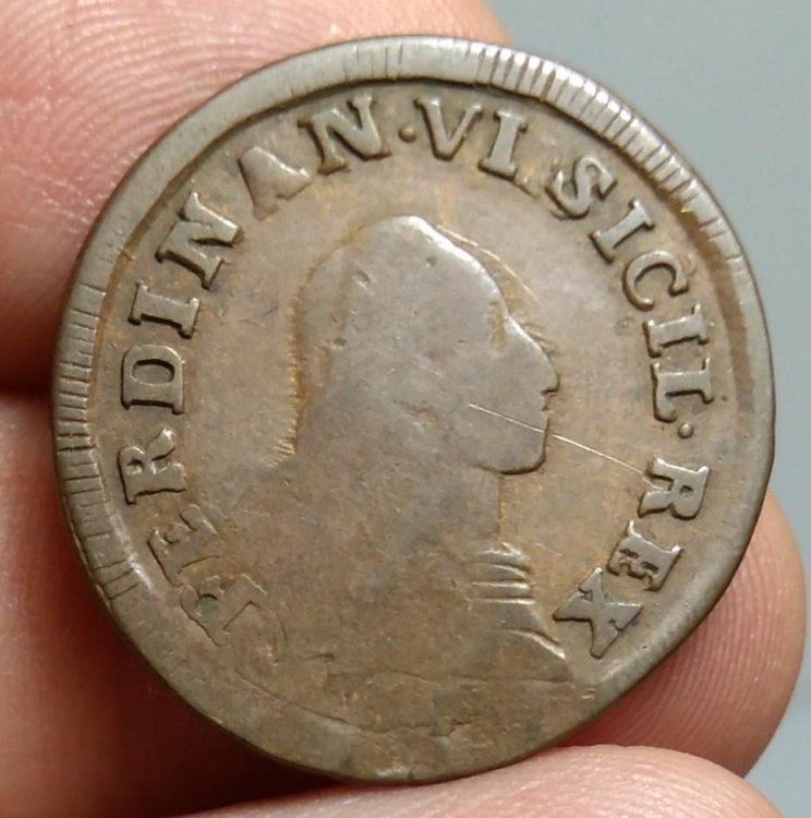 9 Cavalli 1789 FERDINAN VI a.jpg