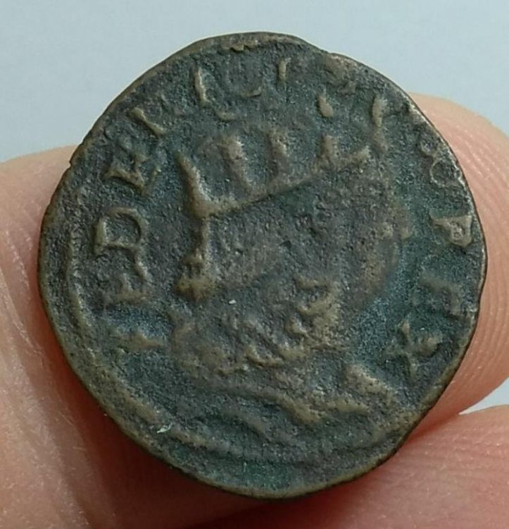 FEDERICO III d'Aragona - Cavallo M.I.R. 110.9 D..jpg