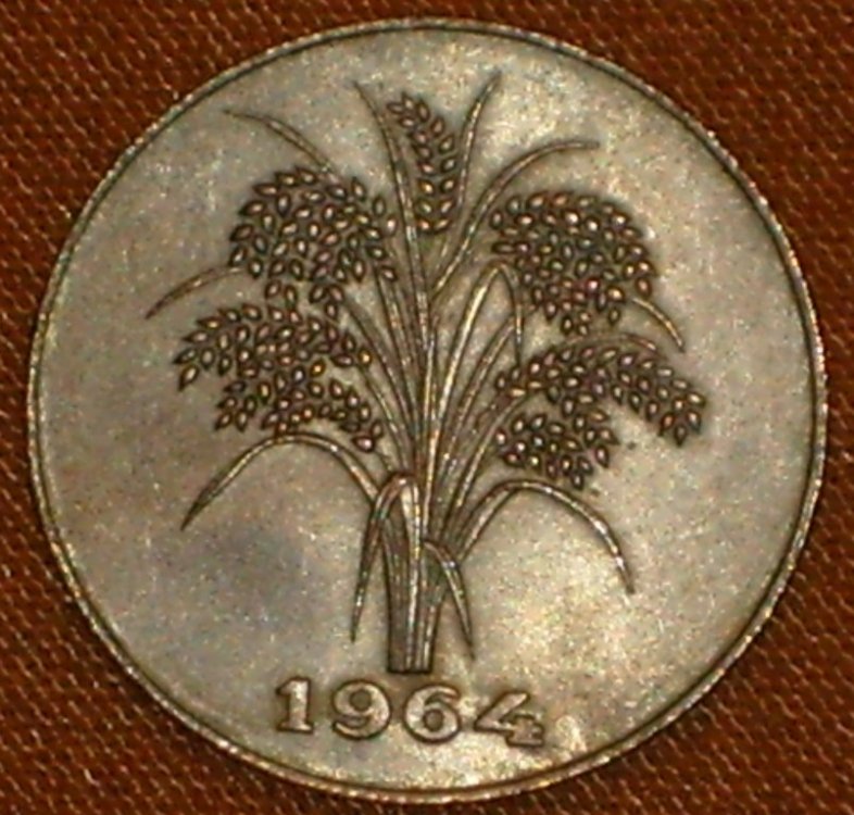 1 dong 1964 r.JPG