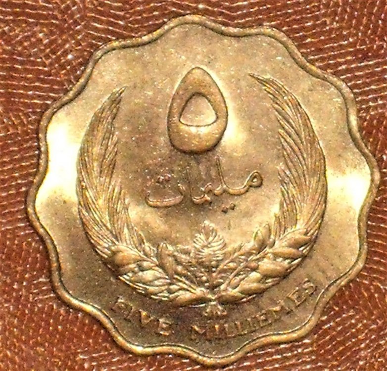 Libya 5 milliemes 1965 d.JPG