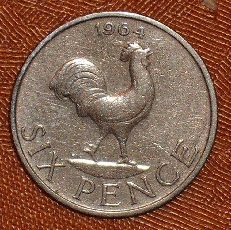 Malawi 6 pence 1964 r.JPG