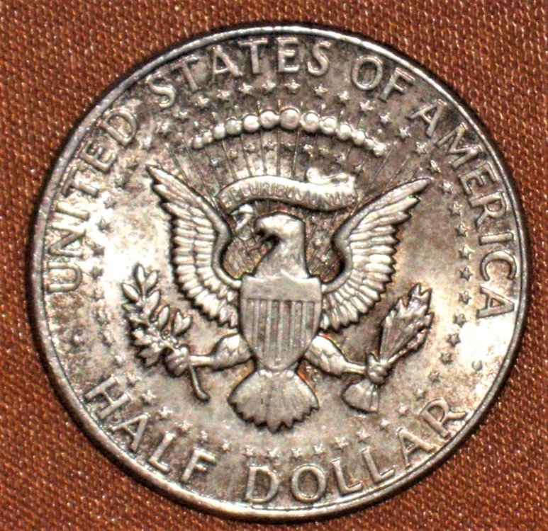 half dollar 1964 d.JPG