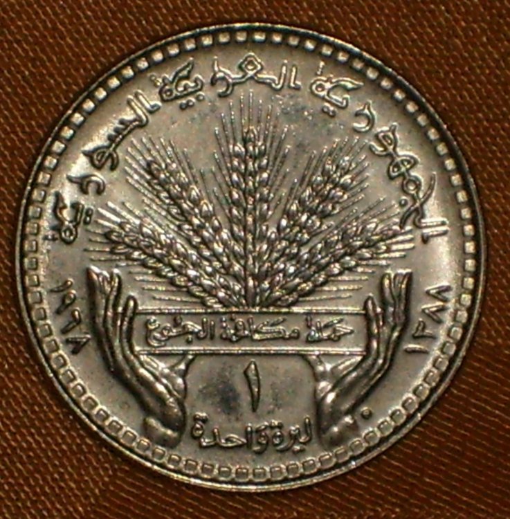 Syria 1 Lira 1968 FAO r.JPG