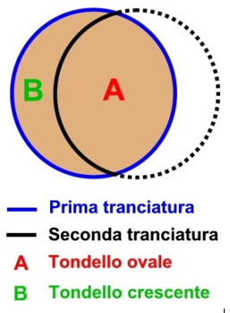 138407180_tondelloovalepertranciatura.PNG.f266d62d9db7e368b6a77b7be9d6e34e.PNG