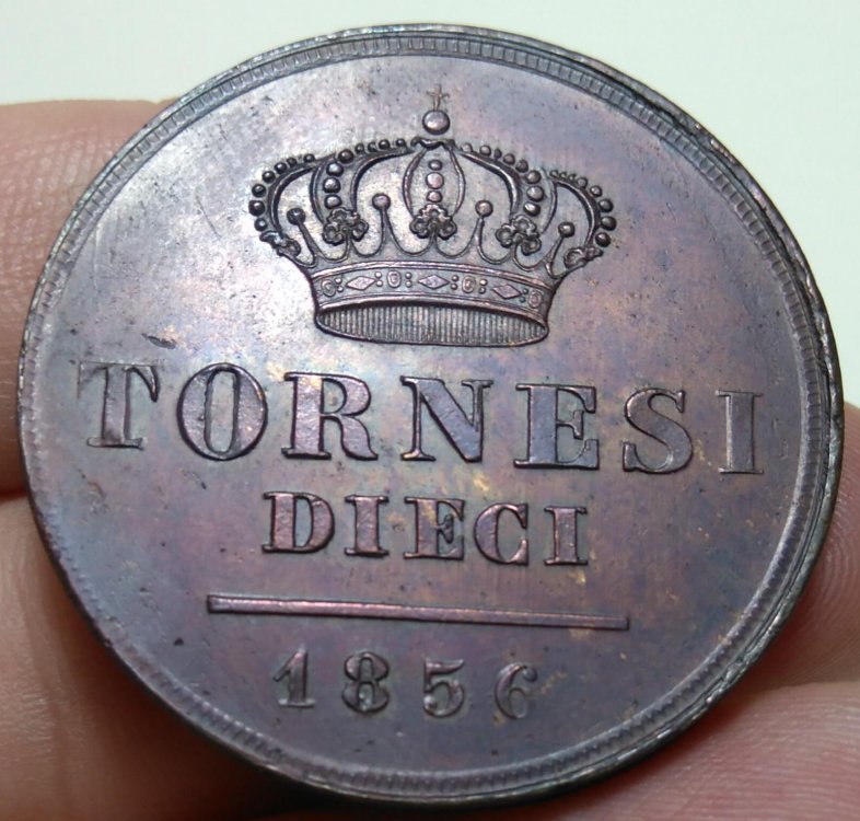 10 Tornesi 1856 fiore a 5 petali b.jpg