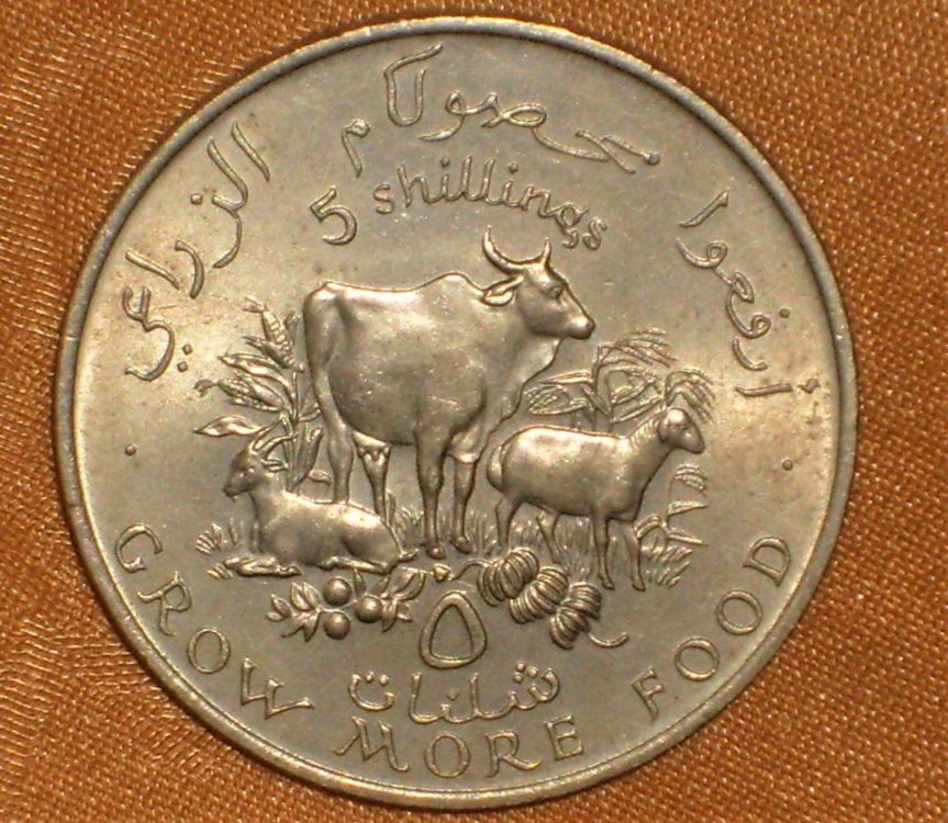 5 shillings 1970 r.JPG