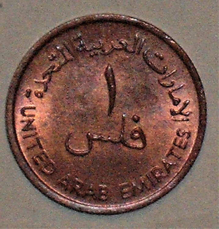 1 fil 1973 d.JPG