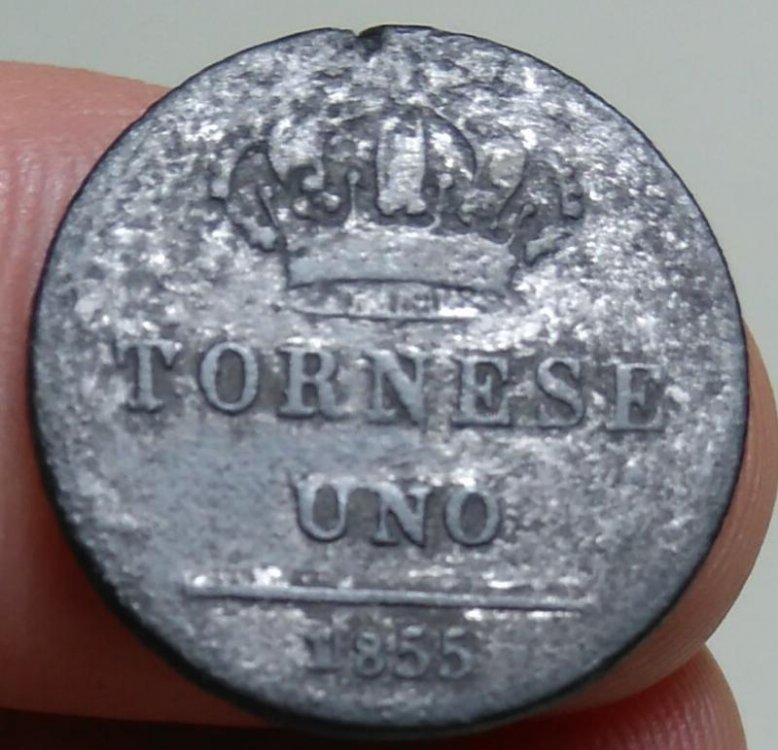 Tornese 1855 b.jpg