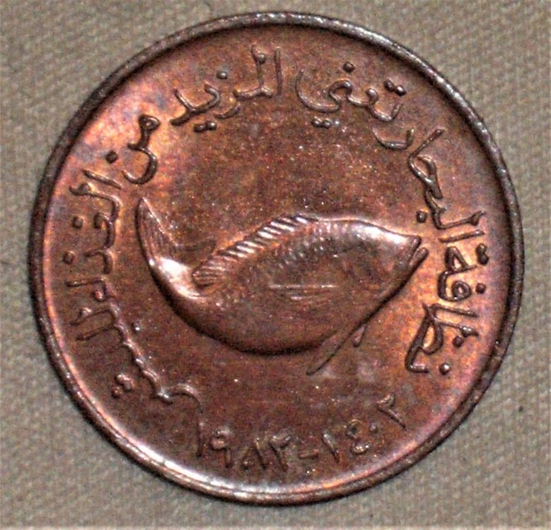 5 fils 1982-1402 r.JPG