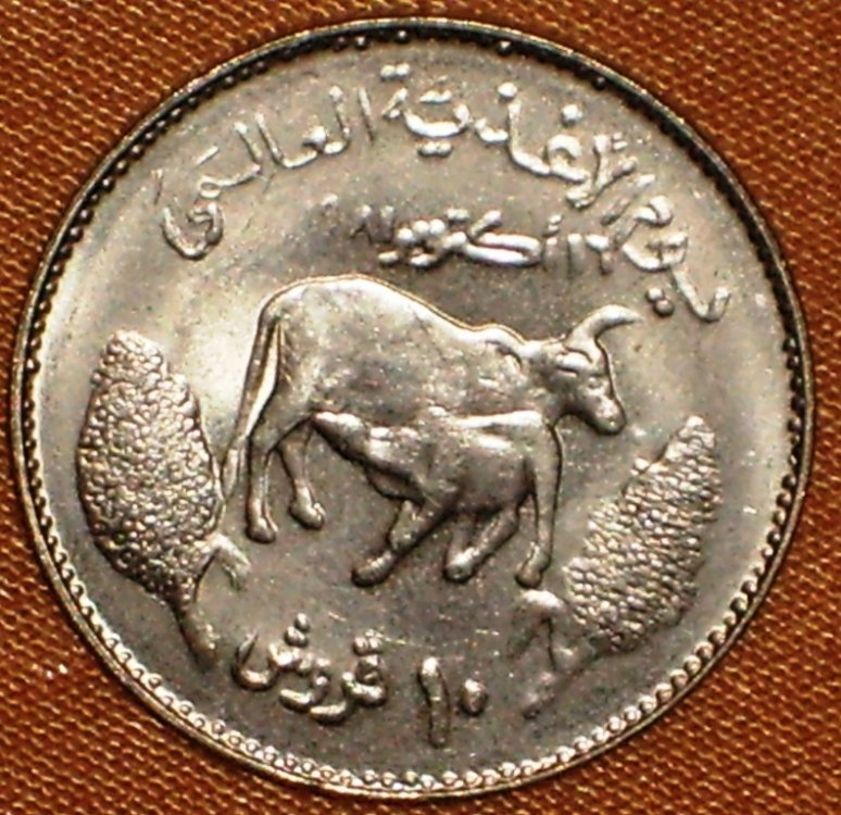 Sudan 10 qirsh  1981 r.jpg