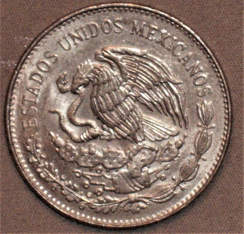 20 pesos 1981 d.JPG