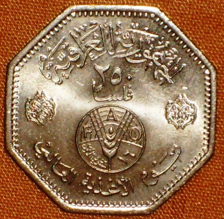 Iraq 250 fils 1981 d.jpg