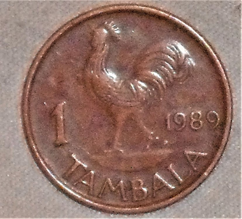 1 tambala 1989 r.JPG