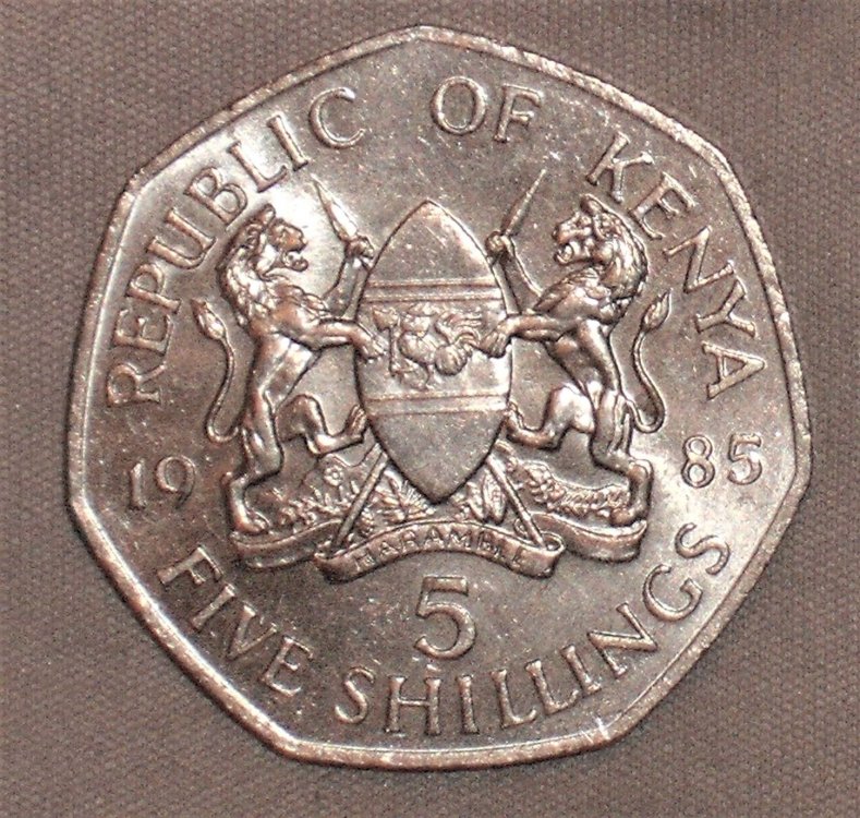 5 shillings 1985 d.JPG