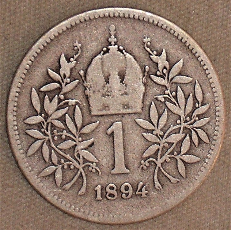 1 corona 1894 r.JPG