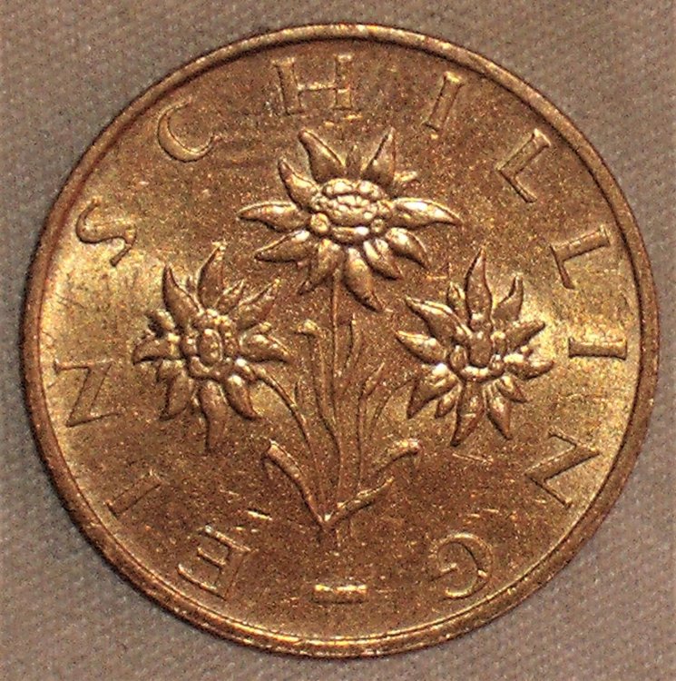 1 schilling 1995 r.JPG