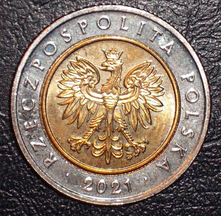 5 zlotych 2021 d.JPG