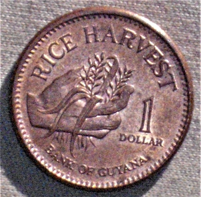 1 dollar 2002 r.JPG