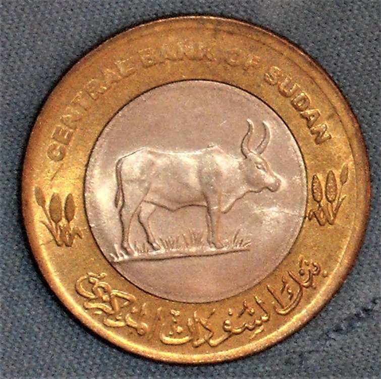 20 piastres 2006 d.JPG