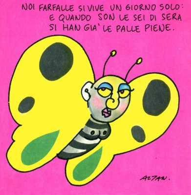 altan farfalle.jpg